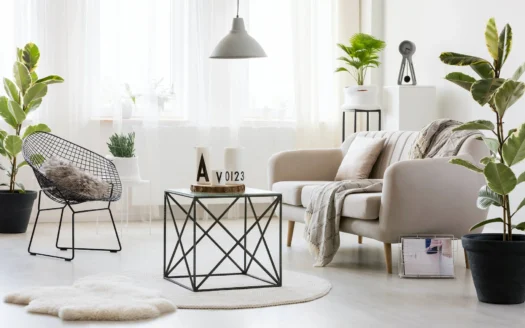 One Bedroom Apartment